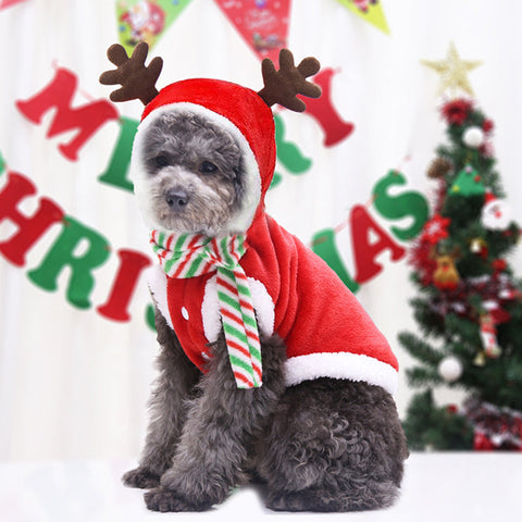 Santa Claus Home Winter Pet Costumes