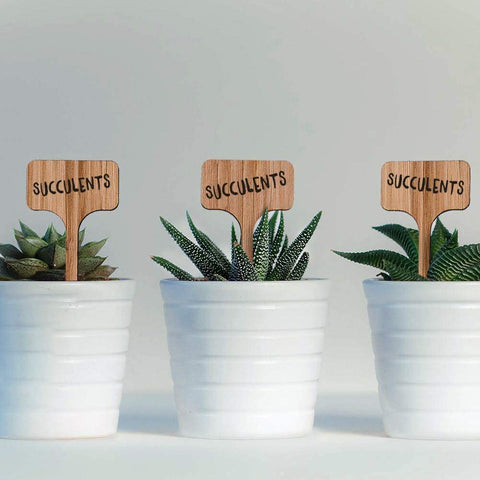 50Pcs Bamboo Plant Labels with A Marker Pen