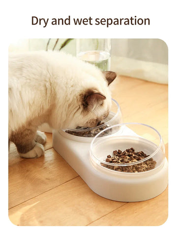 Food  and Water Bowl With Automatic Drinking Fountain