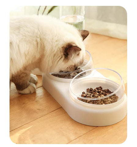 Food  and Water Bowl With Automatic Drinking Fountain