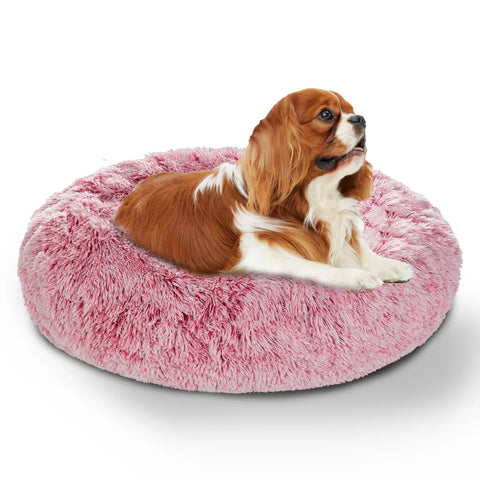 The Calming Donut Round Soft Cat and Dog Bed